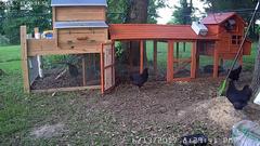 ChickenRunCam.20170613_202941.jpg