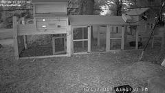 ChickenRunCam.20170613_204150.jpg