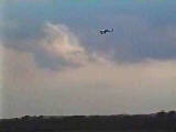 Movie of a fast Dragonfly